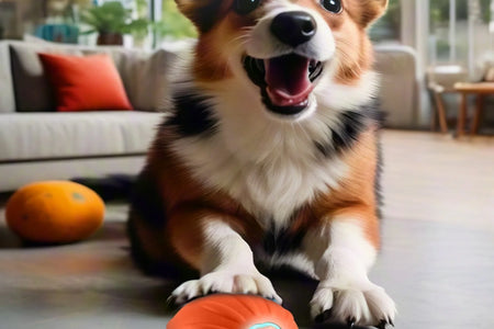 Pet Smart Jumping Ball,Interactive Dog Toys Dog Ball,Automatic Moving Bouncing Rotating Ball for Puppy/Small/Medium Dogs,Fun and Engaging Gifthi Toy, Suitable for Small and Medium-Sized Pets