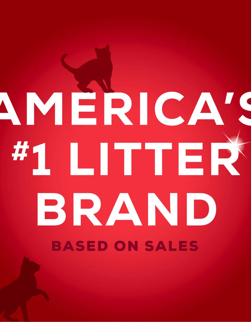 Load image into Gallery viewer, Purina  Instant Action Clumping Cat Litter, Floral Scent, 35 Lb Pail
