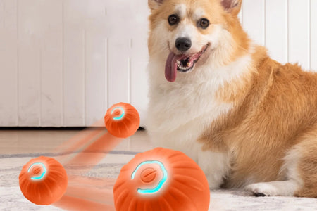 Pet Smart Jumping Ball,Interactive Dog Toys Dog Ball,Automatic Moving Bouncing Rotating Ball for Puppy/Small/Medium Dogs,Fun and Engaging Gifthi Toy, Suitable for Small and Medium-Sized Pets