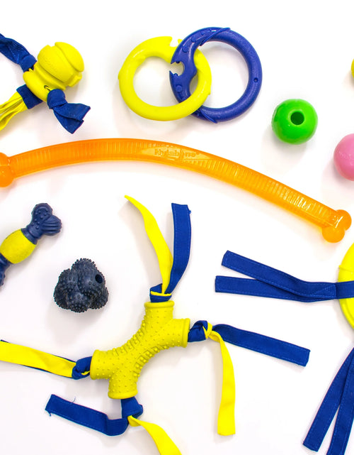 Load image into Gallery viewer, Power Play Crazy-Ball Dog Toy, Dog Balls, Interactive Dog Toys, Large
