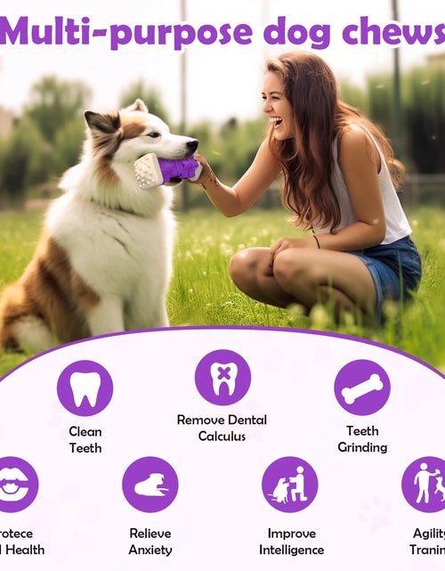 Load image into Gallery viewer, Interactive Dog Chew Toy-Brightly Colored Dog Enrichment Toy for Aggressive Chewers-Purple
