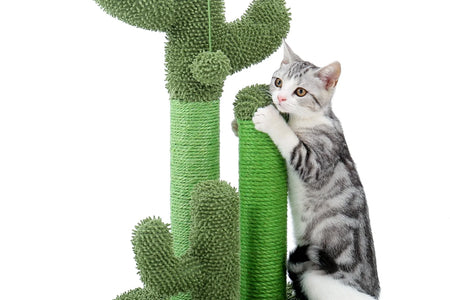 23" Cactus Cat Scratching Posts Medium Sisal Cat Scratcher,Green