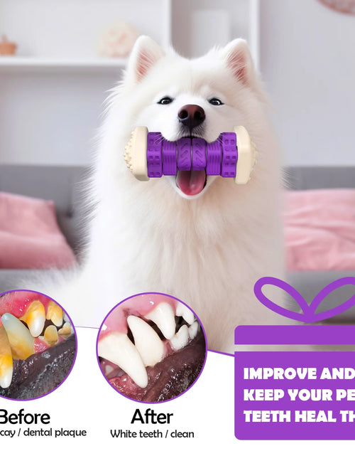 Load image into Gallery viewer, Interactive Dog Chew Toy-Brightly Colored Dog Enrichment Toy for Aggressive Chewers-Purple
