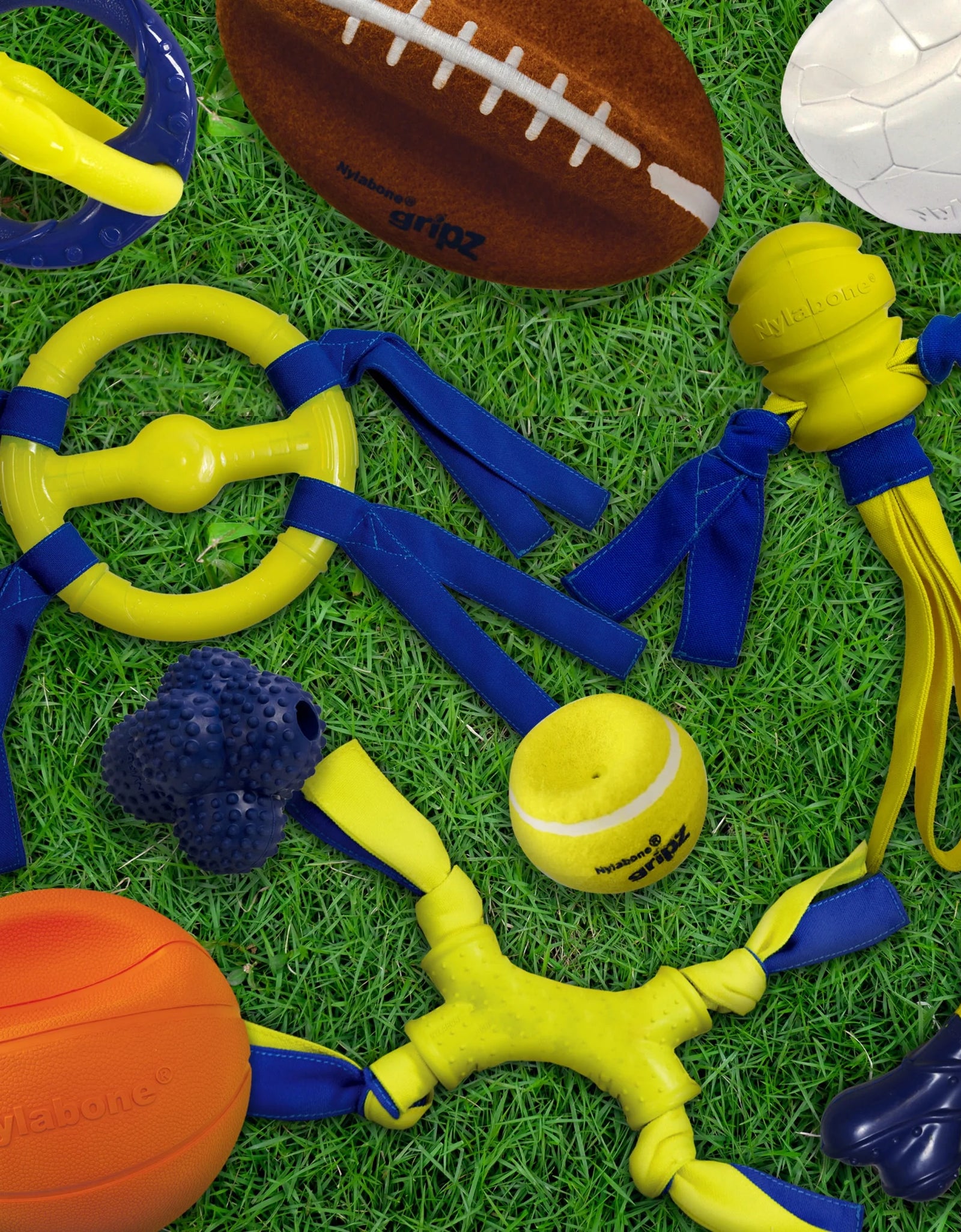 Power Play Crazy-Ball Dog Toy, Dog Balls, Interactive Dog Toys, Large