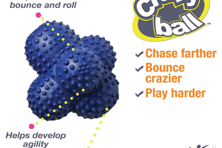 Power Play Crazy-Ball Dog Toy, Dog Balls, Interactive Dog Toys, Large