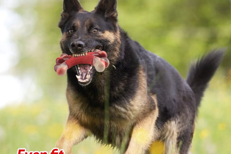 Large Dog Chew Toy for Aggressive Chewers- Tough Dog Toys Indestructible Bone Dog Toy,Nylon Durable Dog Teething Chew Dog Toys for Large/Medium Dogs