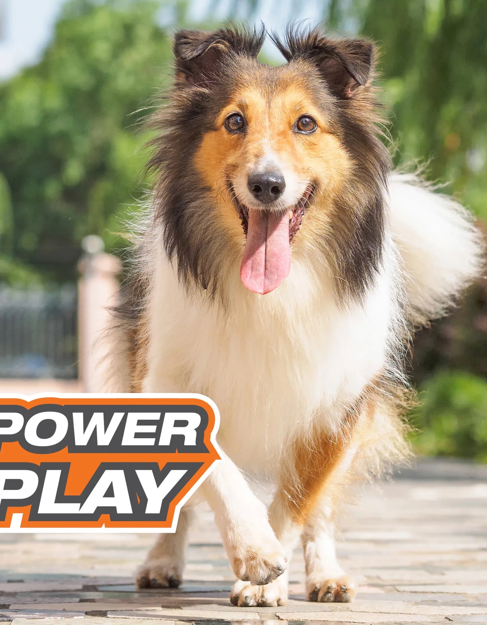 Power Play Crazy-Ball Dog Toy, Dog Balls, Interactive Dog Toys, Large