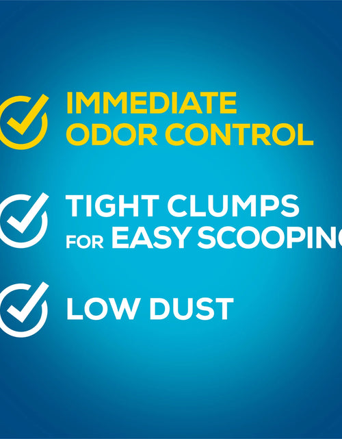 Load image into Gallery viewer, Purina  Instant Action Clumping Cat Litter, Floral Scent, 35 Lb Pail
