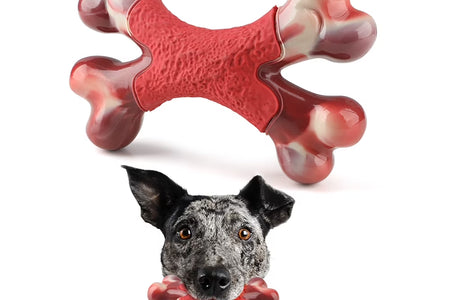 Large Dog Chew Toy for Aggressive Chewers- Tough Dog Toys Indestructible Bone Dog Toy,Nylon Durable Dog Teething Chew Dog Toys for Large/Medium Dogs