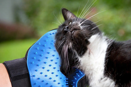 Pet Grooming Gloves Brush Dog Cat Hair Remover Mitt Massage Deshedding 1 Pair Blue